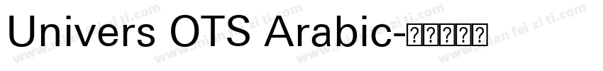 Univers OTS Arabic字体转换